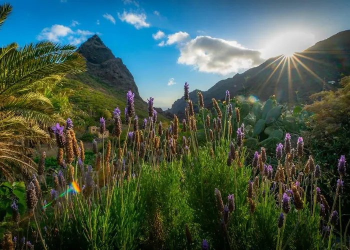 La Tinta * Buenavista Del Norte